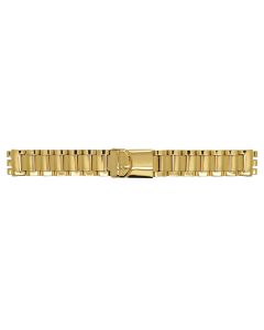 Swatch Armband Irony Big Gold AYGG001G